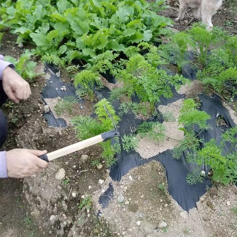 PESCE Mini Houe De Jardin à Main Outil De Désherbage à Double Tête – Houe En Acier Au Carbone/cultivateur à Dents 3 Dents Combo Outils De Jardin Avec Manche En Bois (3 Dents) 5 PESCE Mini Houe De Jardin à Main Outil De Désherbage à Double Tête – Houe En Acier Au Carbone/cultivateur à Dents 3 Dents Combo Outils De Jardin Avec Manche En Bois (3 Dents) – Image 5