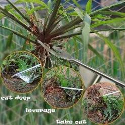 Cisea Outil De Désherbage Manuel, Utilisez Un Manche En Bois Massif Et Une Bouche De Pelle En Acier Inoxydable En Forme De Y, Outils De Désherbage Pour La Transplantation De Terres Agricoles De Pelouse De Jardin (1) -Outil pour désherber Soldes 66375177 5