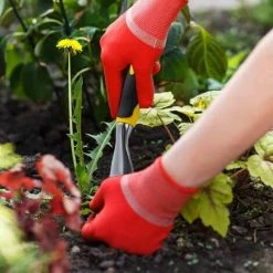 OCXIN Extracteur De Mauvaises Herbes, Désherbeur à Main De Jardin En Acier Inoxydable, Outil De Plantation Et De Désherbage, Jaune -Outil pour désherber Soldes 66859078 3