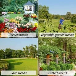 ENLENK Couteau De Désherbeur à Main De Jardin, Outil De Griffe De Désherbeur De Jardin, Outil à Main De Désherbeur à 4 Griffes, Désherbeur De Pissenlit -Outil pour désherber Soldes 67680893 5