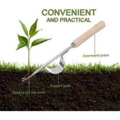 AOUGO Outil à Main Manuel De Jardin D'extracteur D'herbe De Manche En Bois D'acier Inoxydable De Tueur De Mauvaises Herbes Manuel Pour Le Creusement De Désherbage De Greffe 9 AOUGO Outil à Main Manuel De Jardin D'extracteur D'herbe De Manche En Bois D'acier Inoxydable De Tueur De Mauvaises Herbes Manuel Pour Le Creusement De Désherbage De Greffe -Outil pour désherber Soldes 67704544 5