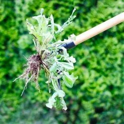 Cisea Weed Den Stand Up Weed Extracteur Outil Griffe Désherbeur Racine Pour Enlever AuuEn Killer Outil Avec Pédale Fuu -Outil pour désherber Soldes 68077772 5